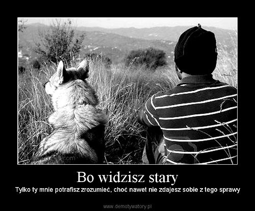 zrozumienie 