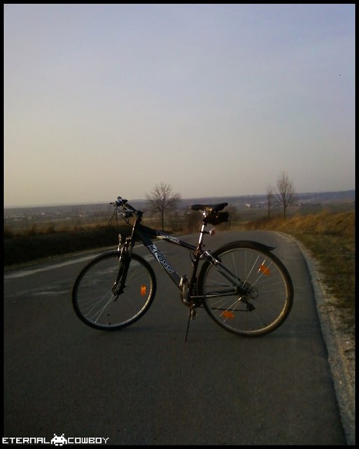 Zajedony
