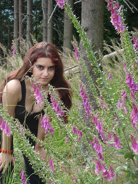 ..::Halucynacje musza byc::..