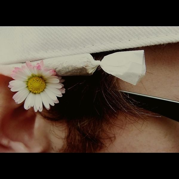 stokrotka :D ;****** I LIKE IT!!