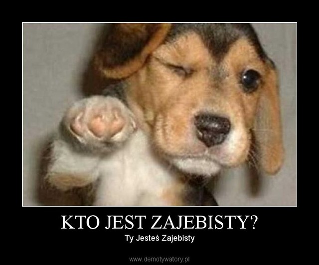 szczero.
