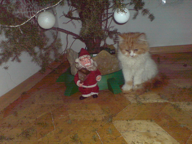 Wpis slodkidiabelek3lola