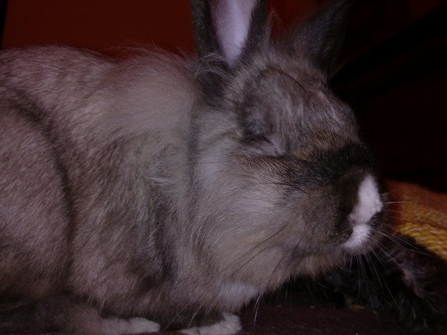Pusiak :) 