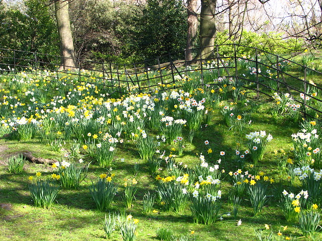 St Stephen's Green- Dublin