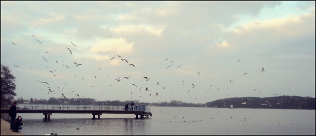 Wpis czarnafotografia