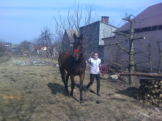 Wpis zenibyktos
