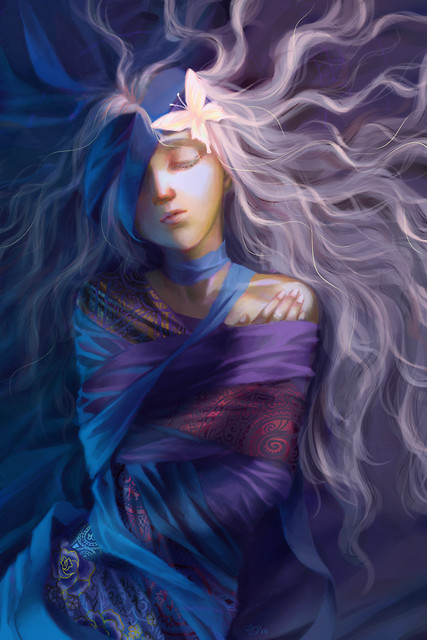 [o5] Butterfly