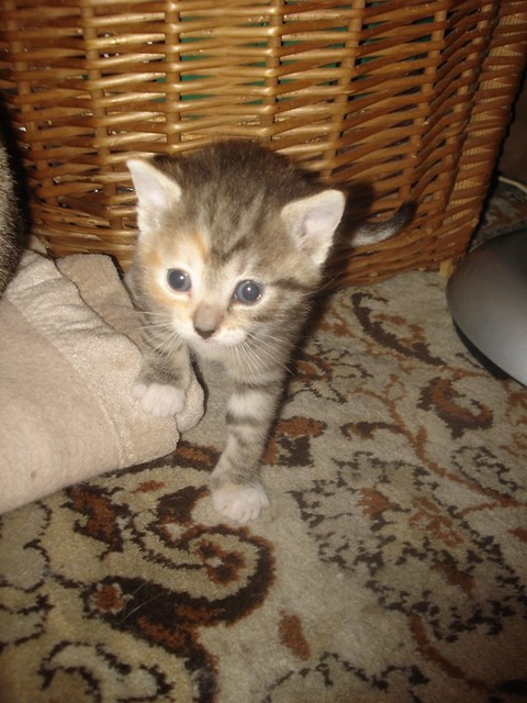 kiciusie!