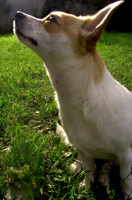 Gusia < 3