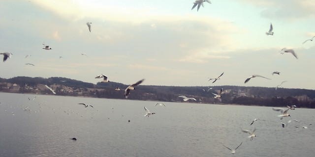 Wpis czarnafotografia