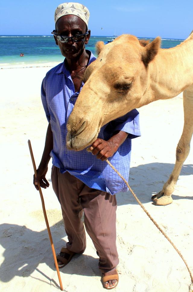 Gut prasj camel is lajk oman