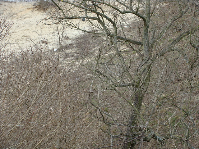 Wpis hanullka