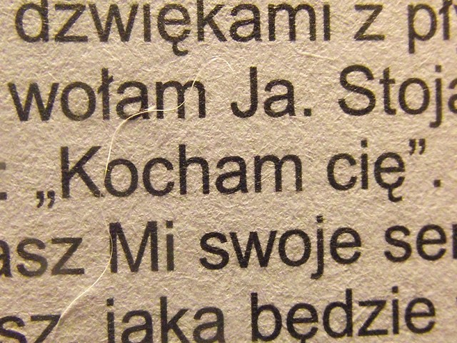 Kocham Ci