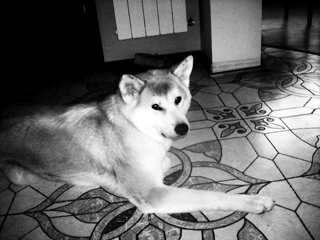 moja mika ;**