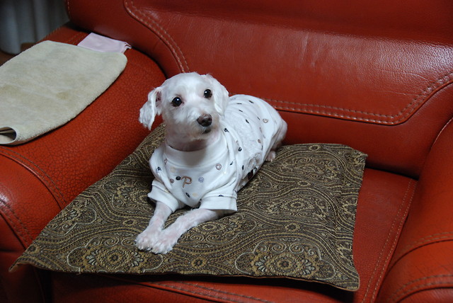 in living room, Busan, Korea