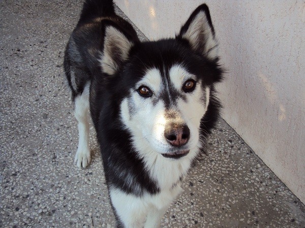Jowisz :D