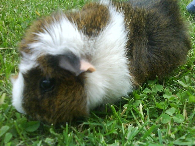 Zuka;)