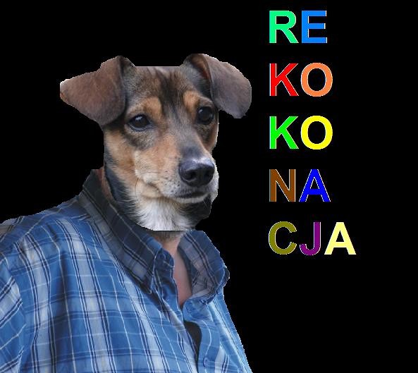 SIUSIOKI !!!!!!!!!!