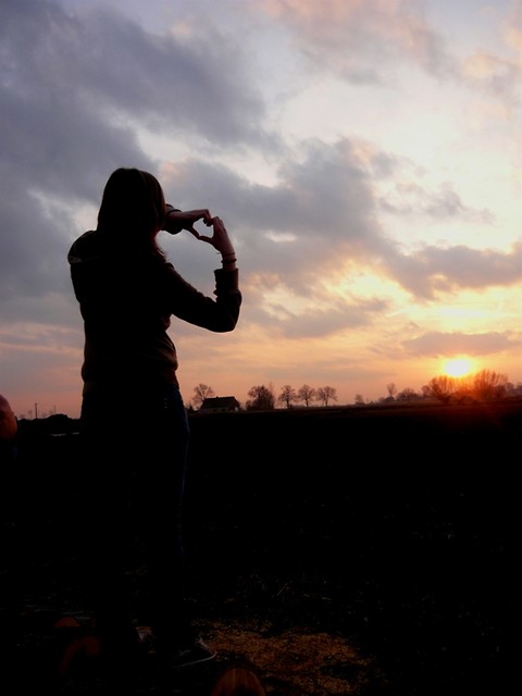 Wpis link
