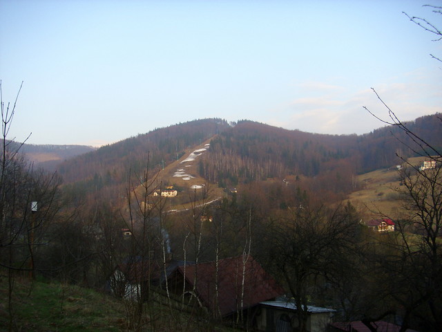 palenica