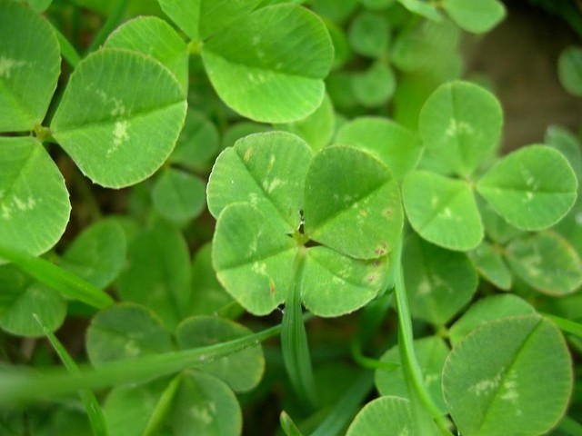 Wpis zostalywspomnienia