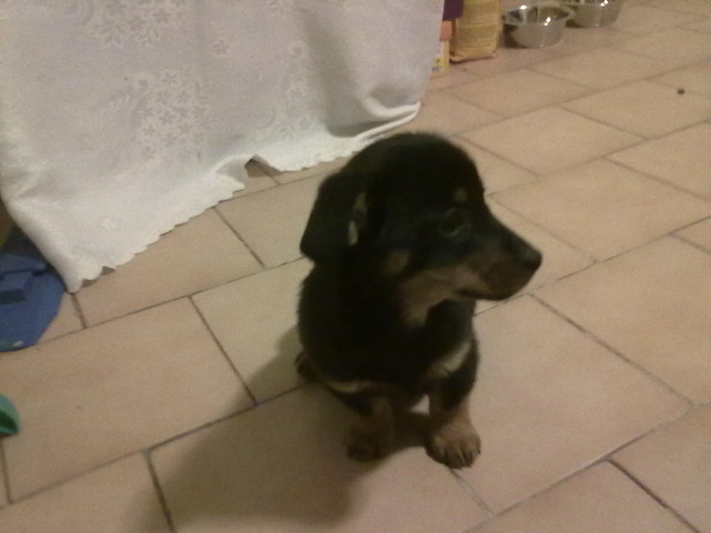 Ares