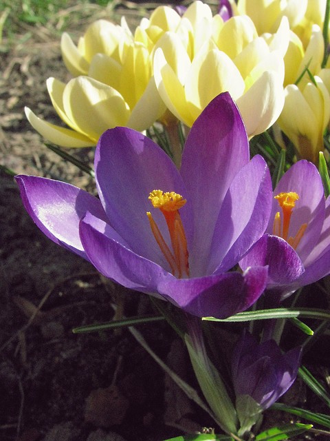 Wpis szalonaphotography