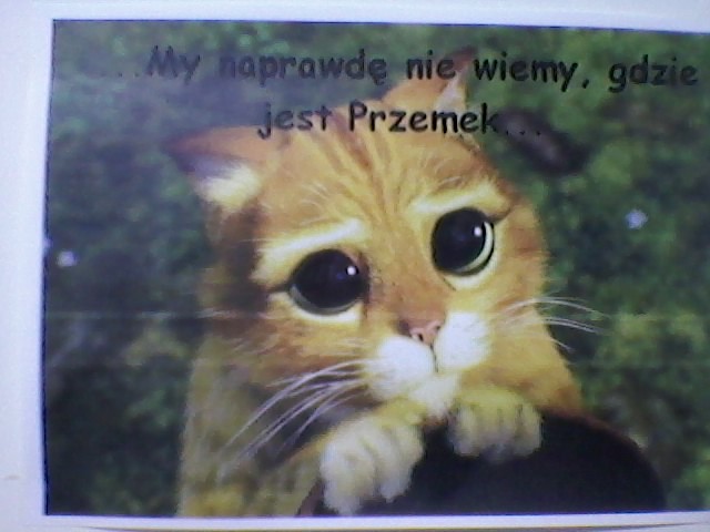 Wpis kotomixnyan