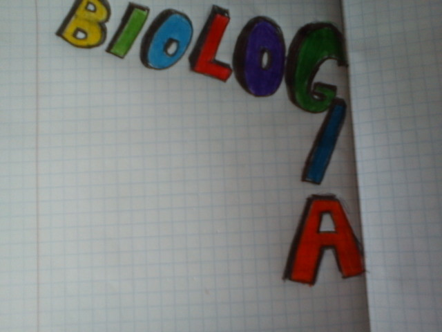 na bologi te nudy