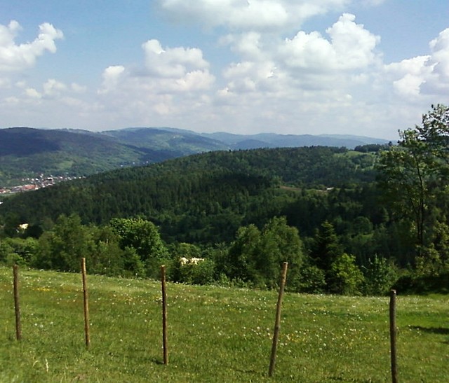 20.05.2009 r.