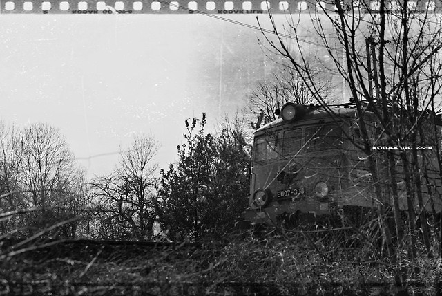 The train