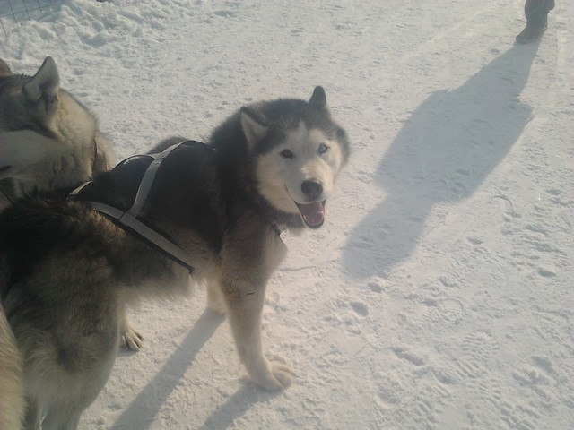 sodziak ! :* 