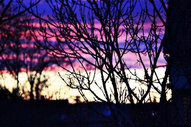 I'll be in the sky