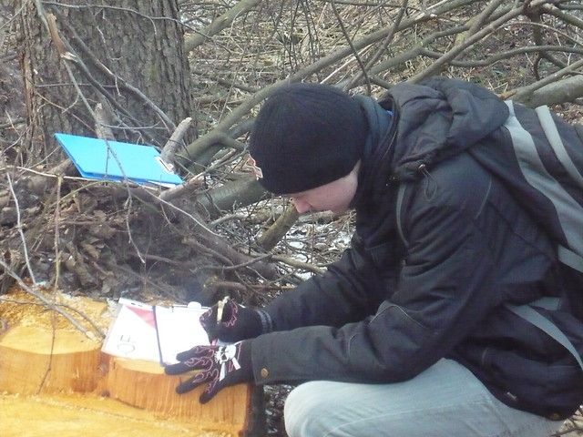 WalentInO 2011 Nowa Wie