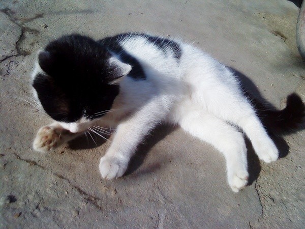 lusia :)