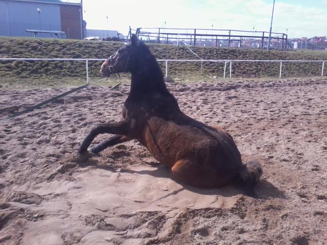 gary;P