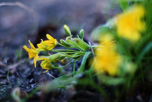 Spring?