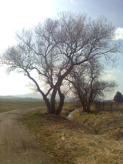 gdy strumyk pynie z wolna.