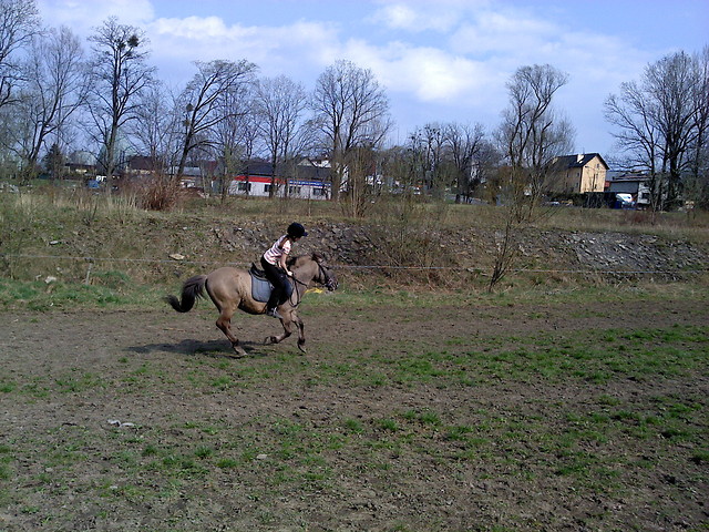 Galop