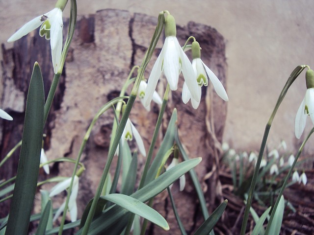 Wpis czarnafotografia