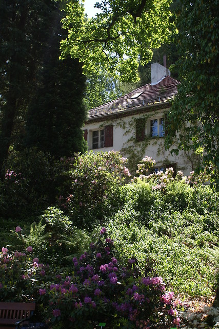 arboretum w wojsawicach
