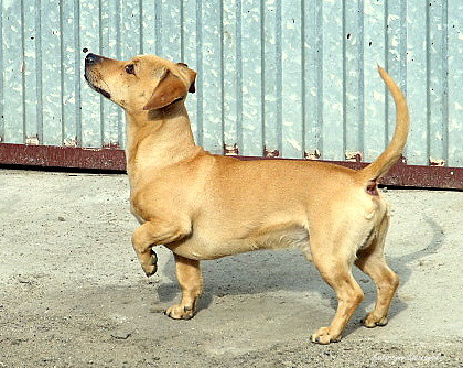 Wpis tofikibatalia