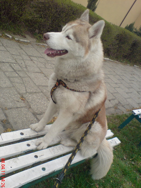 czekam na awce:)