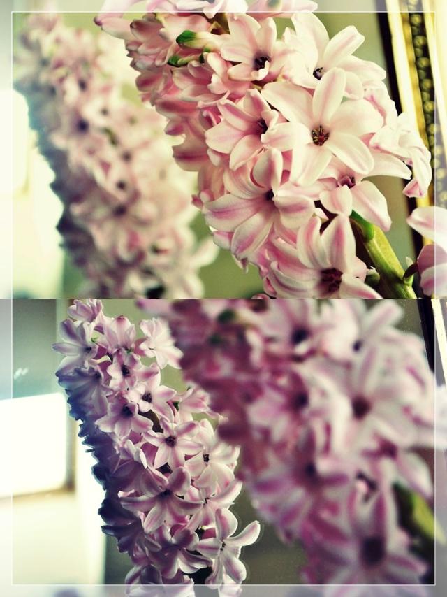 I LIKE IT 