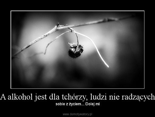 Wpis kakaowybaton