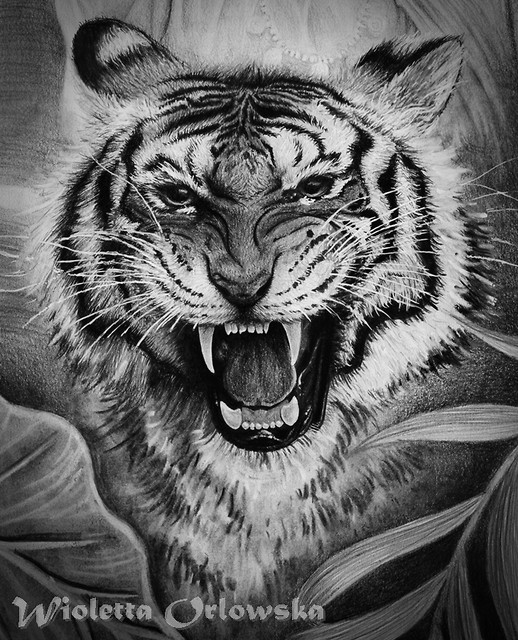 Tygrrry