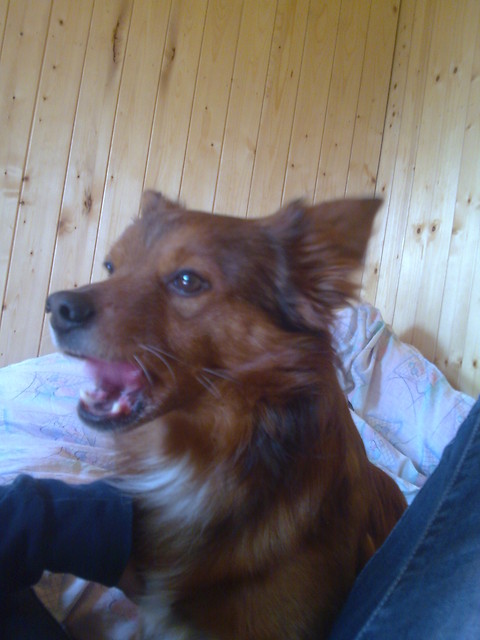 Wpis marlou12