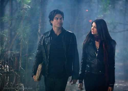 Elena & Damon  ; * 