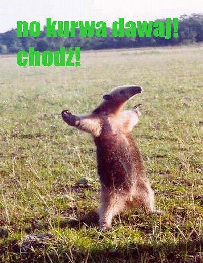 Rozwala mnie to zdjcie ;)
