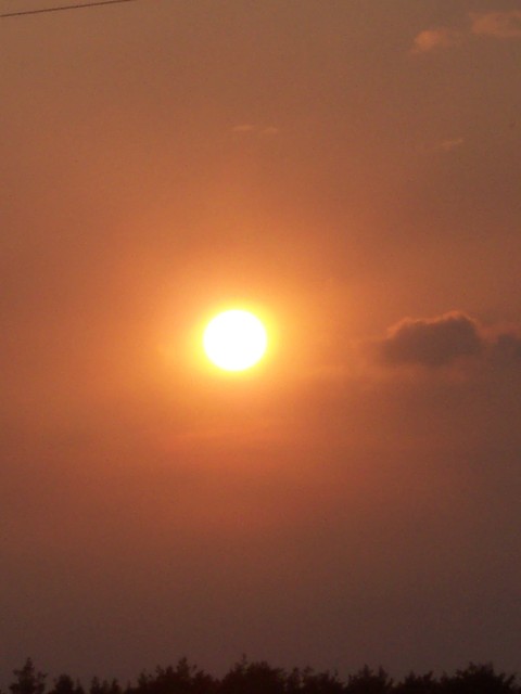 wakacje 2007